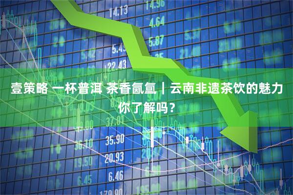 壹策略 一杯普洱 茶香氤氲｜云南非遗茶饮的魅力你了解吗？