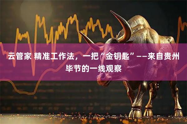 云管家 精准工作法，一把“金钥匙”——来自贵州毕节的一线观察