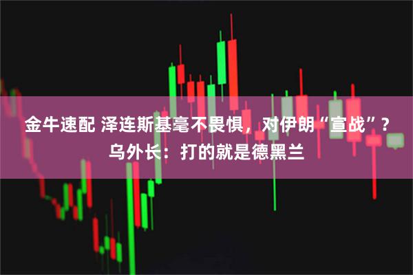 金牛速配 泽连斯基毫不畏惧，对伊朗“宣战”？乌外长：打的就是德黑兰